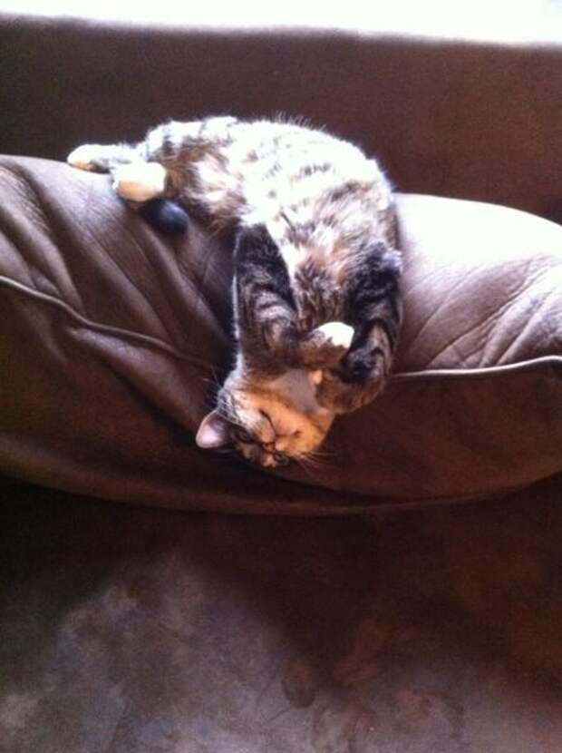 ПОДБОРКА ФОТОПРИКОЛОВ