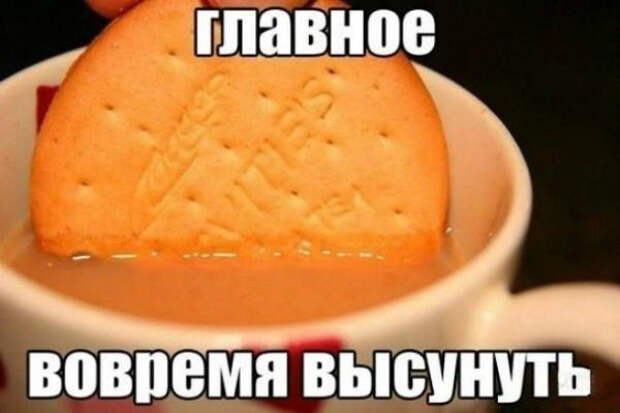Смешные картинки с надписями картинки, надписи, позитив, юмор