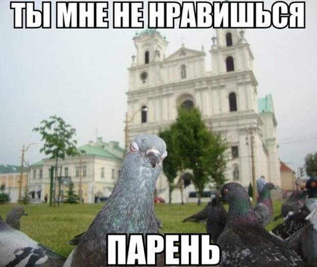 Этот взгляд о многом говорит Этот взгляд о многом говорит животные, мемы, прикол, угроза