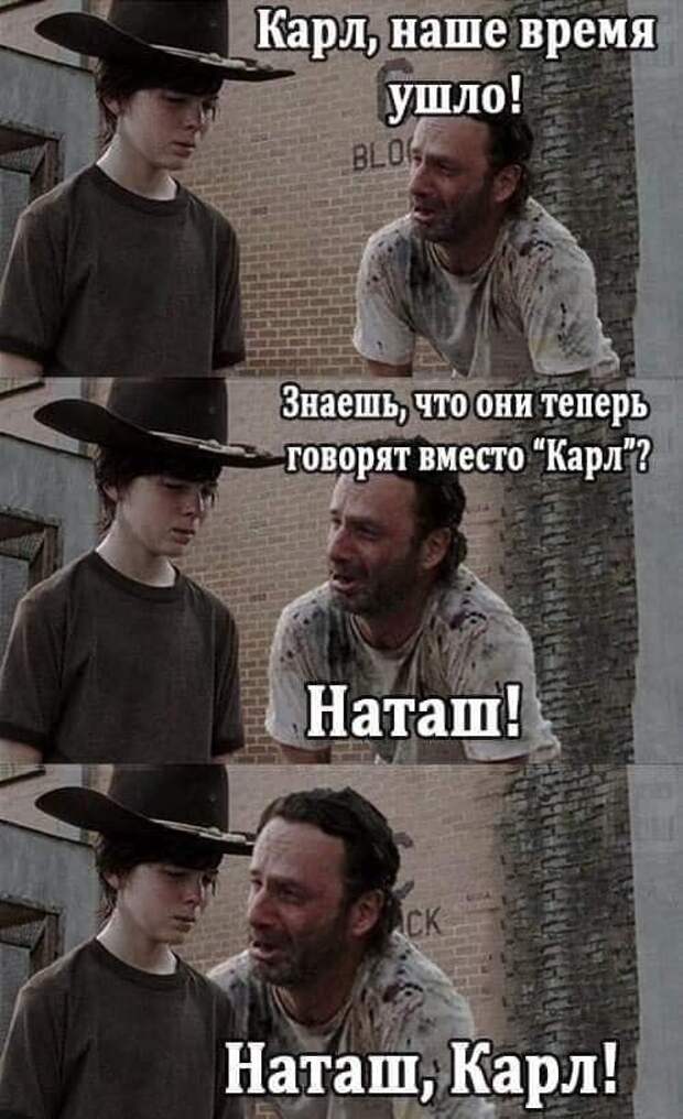 «Наташ, вставай, мы всё уронили»: откуда взялись мемы про Наташу и котов, которые теперь буквально везде