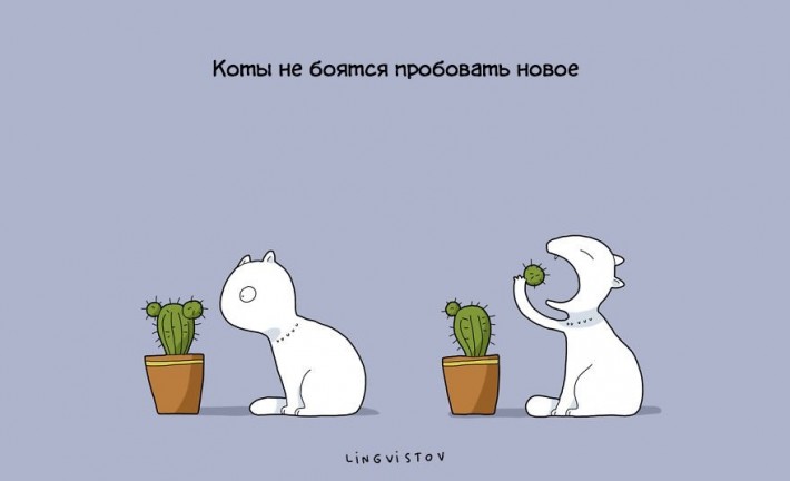 Преимущества жизни с котом