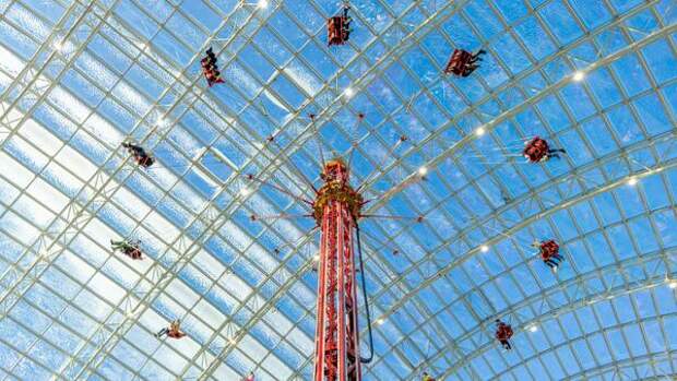 Половина россиян готовы полететь в космос: «Остров Мечты» представил итоги интерактивного опроса