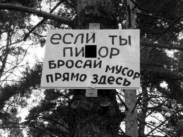 Забавные информационные объявления (22 фото)