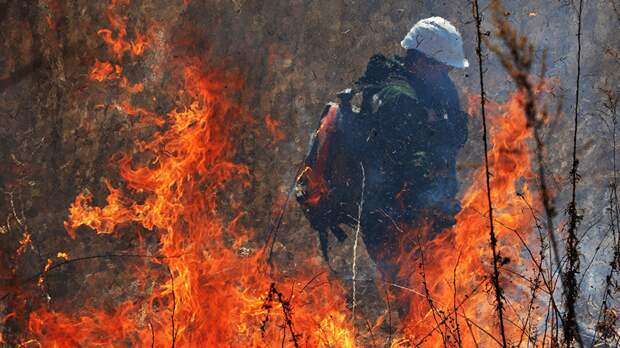 В Тюменской области действует природный пожар площадью почти 160 га