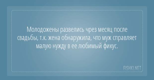 Развод - был бы повод! подслушано, развод, странное, удивительное