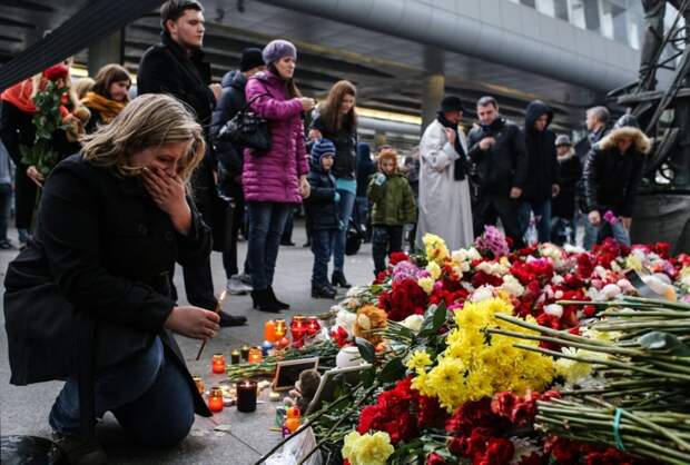 «Сад памяти»: В Ленобласти установят мемориал жертвам авиакатастрофы А321 над Синаем