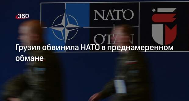 Грузинская партия обвинила НАТО в неточном переводе устава блока