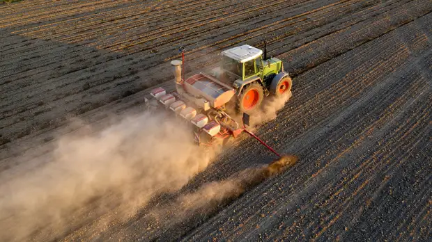 Агроном Белый прокомментировал посевной сезон