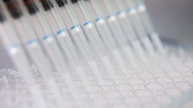 В Пермском крае выявили 599 случаев COVID-19 за сутки