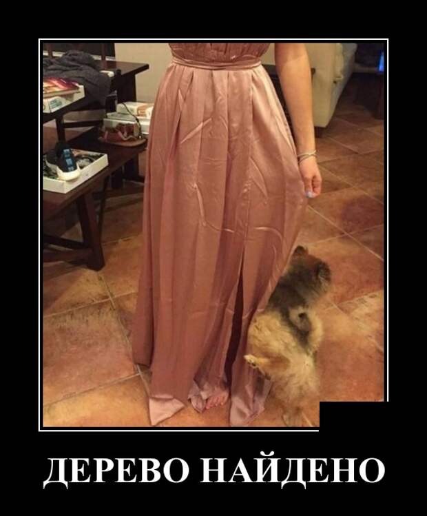 Демотиваторы (30 фото)