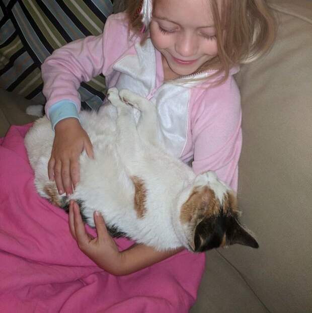 Дом женщины полностью сгорел в лесном пожаре. Но в руинах она нашла свою кошку!