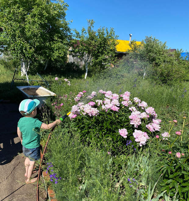 Сделаю то, не знаю, что