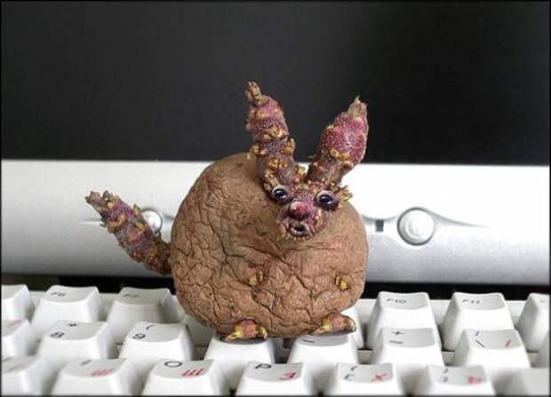 к10 (590x426, 31Kb)