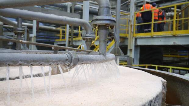 Дерусификация разрушила Европу. ЕС остался без удобрений и с кризисом