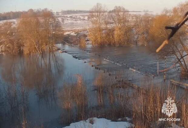 Из-за таяния снега затопило мосты в Щёкинском районе и Туле 30 марта 2026 года