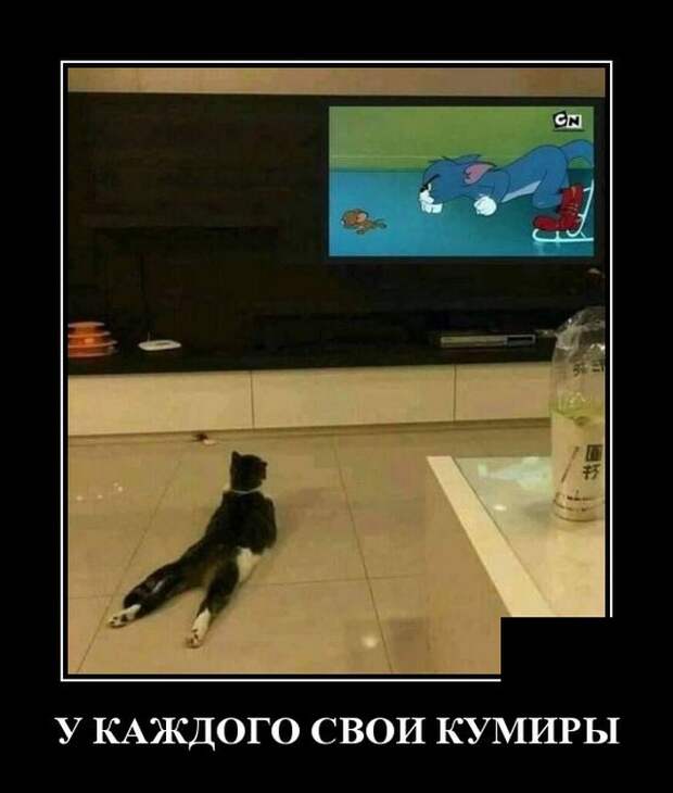 Демотиваторы (30 фото)