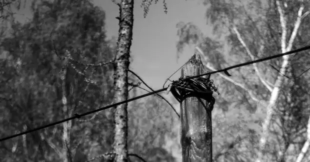 Те, кто якобы видел черный столб, утверждают, что он никогда не стоит на одном месте. /Фото:squaresense.ru