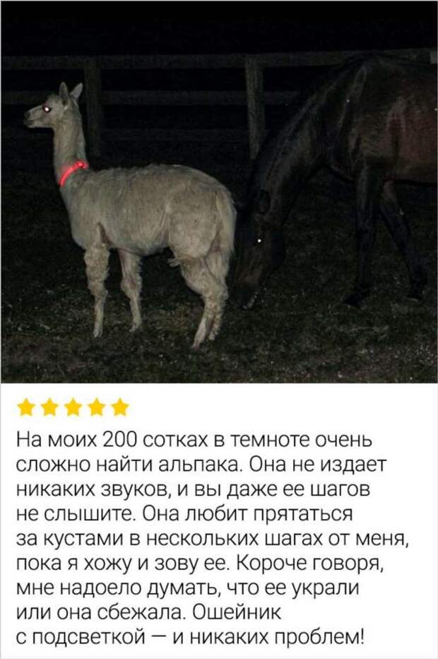 15+ отзывов, в которых скрывается столько драмы, что хватило бы на парочку сериалов