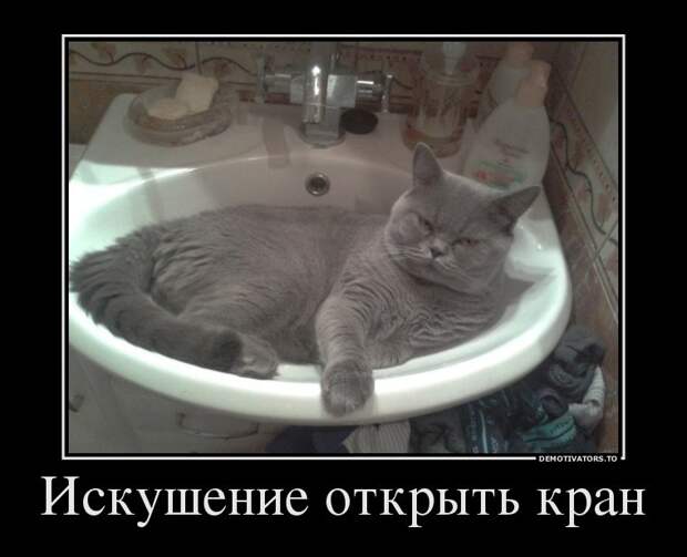 Ржачные демотиваторы для настроения (11 фото) Ржачные демотиваторы для настроения (11 фото)