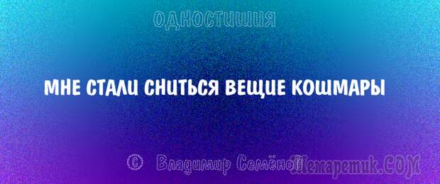 Одностишия, подтверждающие, что краткость – сестра таланта