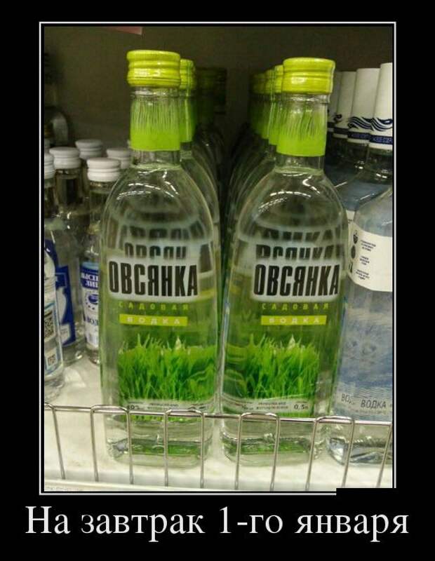 Демотиваторы (20 фото)