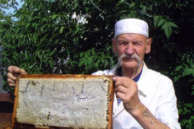 пасечник, пчеловод