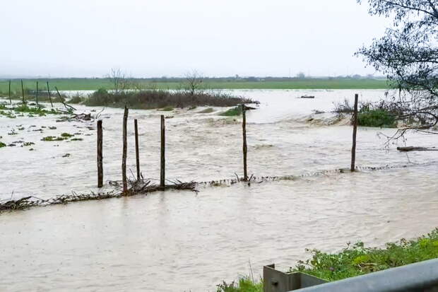 Бородина описала отдых в затопленном Дагестане фразой «ваши сообщения бодряка не дают»