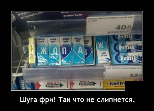 Демотиваторы