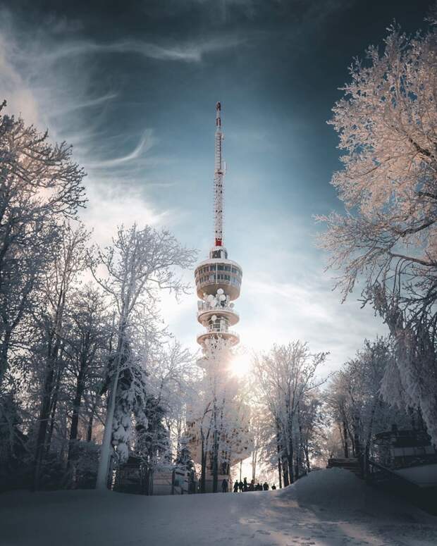 www.vsyako.net