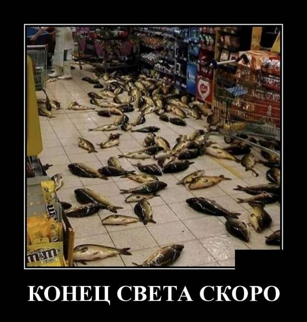 Демотиваторы (30 фото)