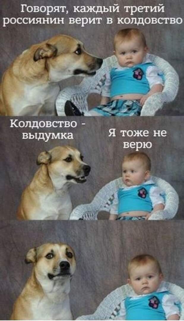 Прикольные картинки