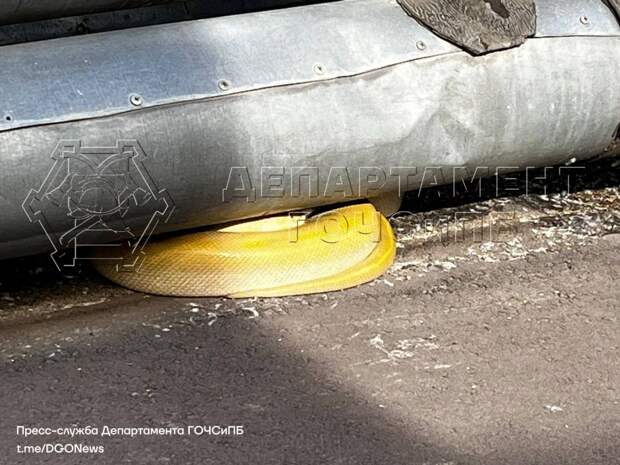 Большую желтую змею поймали спасатели в Москве под теплотрассой