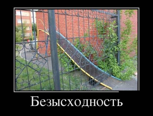 Демотиваторы (30 фото)