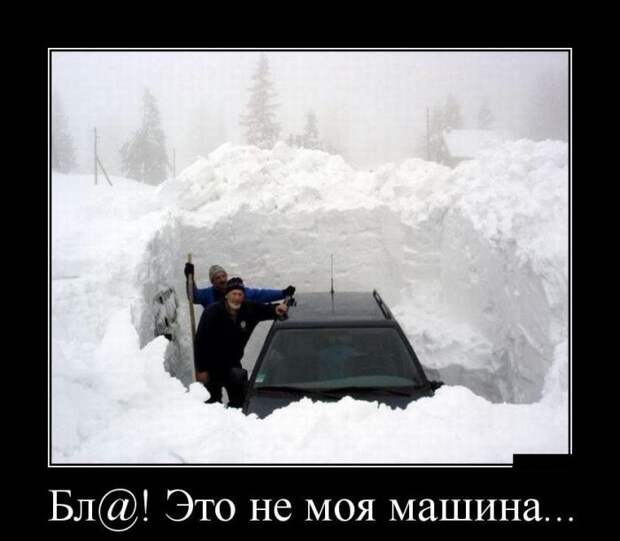 Демотиваторы (30 фото)