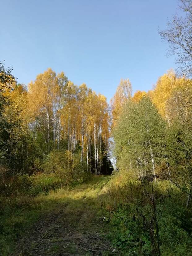Красоты России (#598)