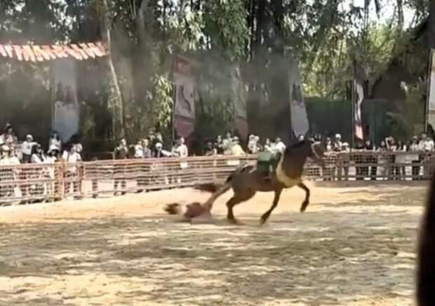 Лошадь протащила артистку по земле во время туристического шоу