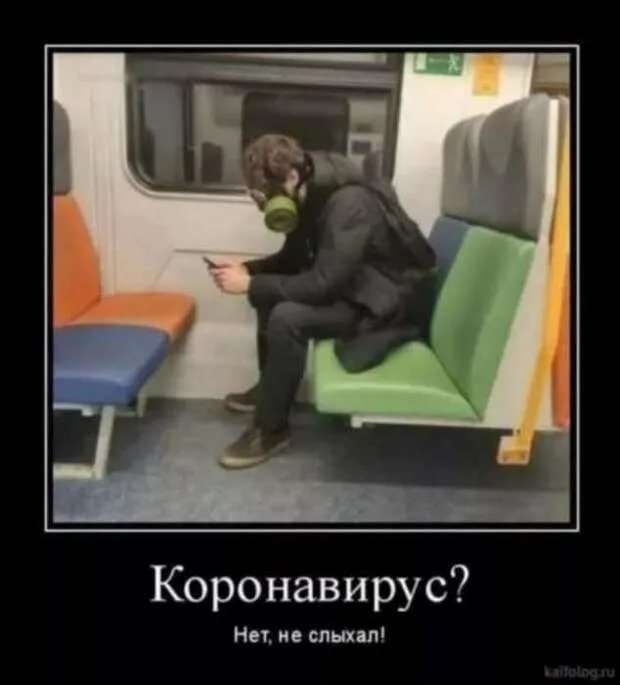 Демотиваторы про коронавирус с надписями. Подборка chert-poberi-dem-koronavirus-chert-poberi-dem-koronavirus-27230329102020-14 картинка chert-poberi-dem-koronavirus-27230329102020-14