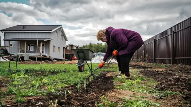 Госдума одобрила проект о продлении дачной амнистии до 1 марта 2031 года