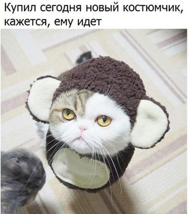 Новые фотомемы (22 шт)