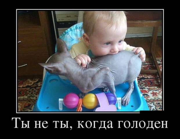 Демотиваторы (30 фото)
