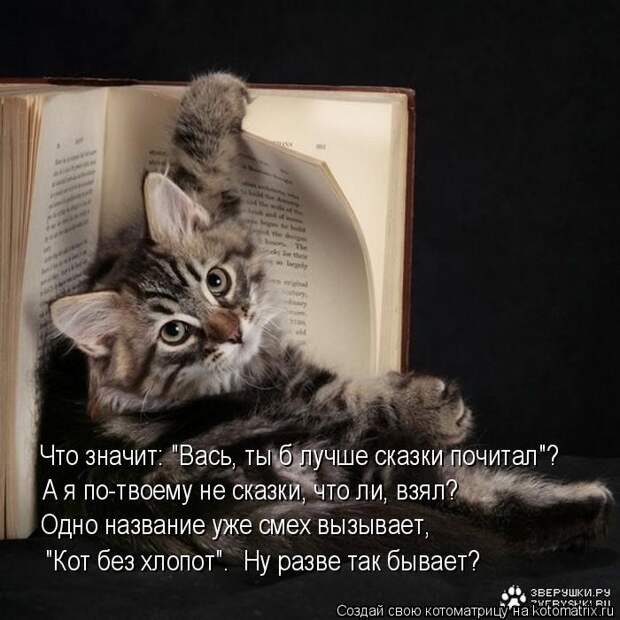 Котоматрица - Что значит: "Вась, ты б лучше сказки почитал"? А я по-твоему не сказки