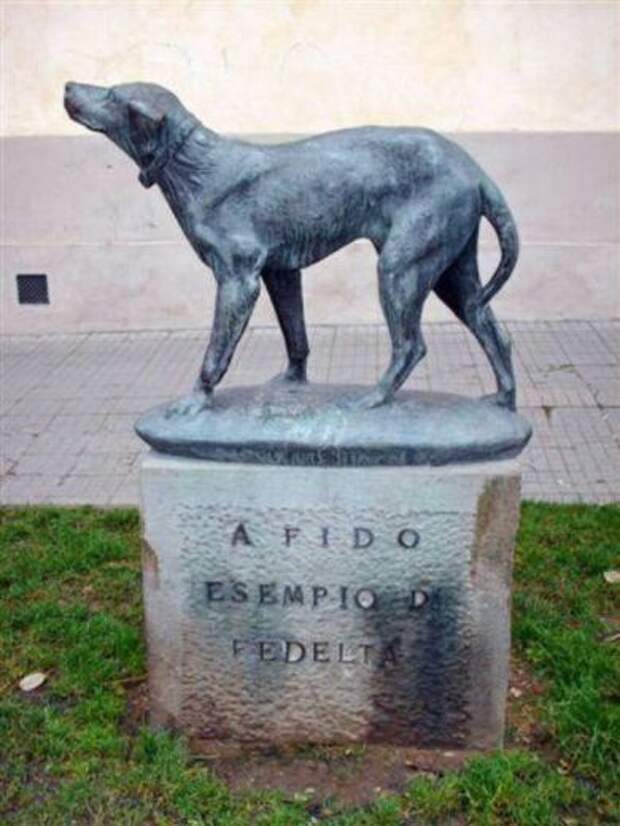 fido