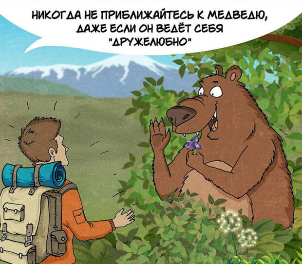 10 забавных, но правдивых комиксов, о правилах поведения с медведями комикс, медведь