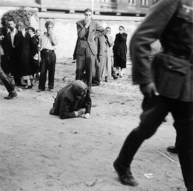 Львовский погром 1941 года