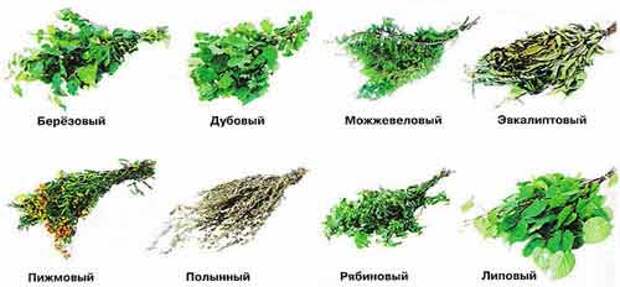 банные веники
