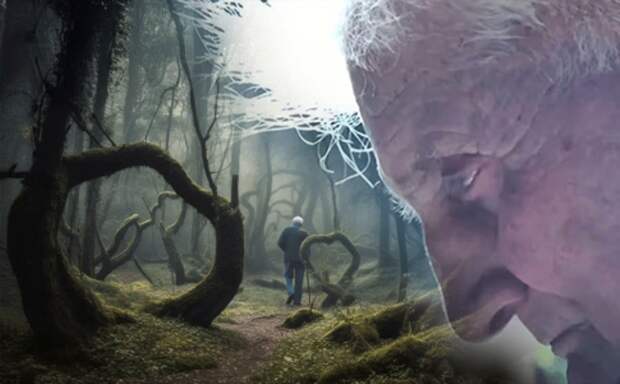 История Василе Горгоша, пропавшего, и вернувшегося домой через 30 лет, без памяти и в той же одежде