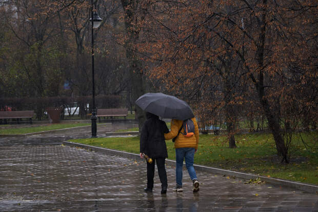 Москвичей успокоили насчет аномальной погоды в ноябре