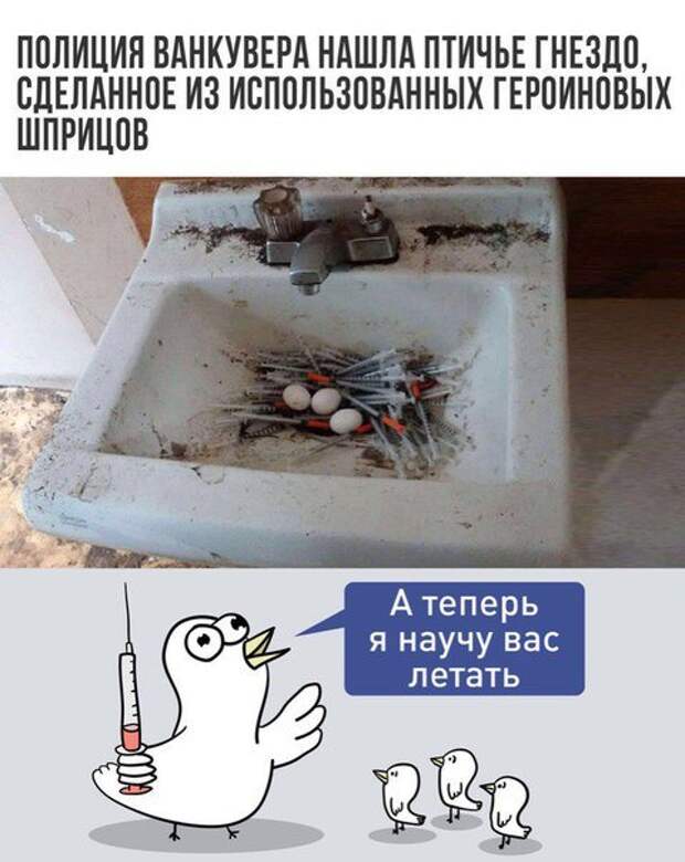 Новые прикольные фотомемы (30 шт)