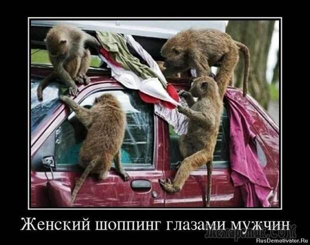 Демотиваторы для настроения