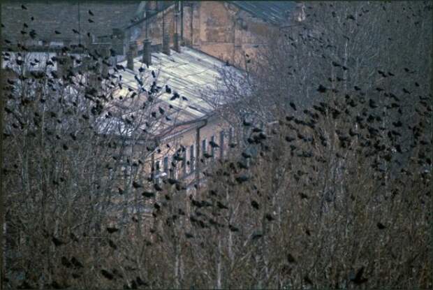 Одесса начала 1980-х годов (47 фото) Одесса начала 1980-х годов (47 фото)